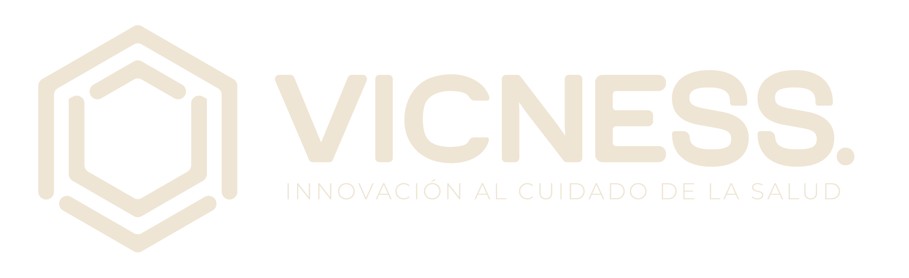 Vicness Logo